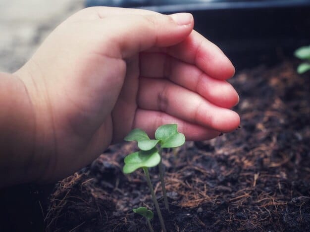 A close-up of hands planting a seedling in fertile soil, symbolizing growth and environmental responsibility. The background is blurred, focusing attention on the act of planting.